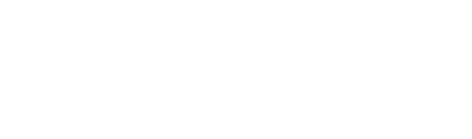 C2 Smartlight logo valkoinen